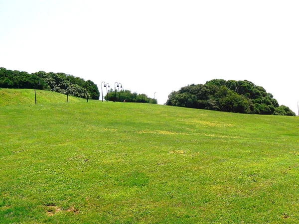 Campo Verde Costa Gijon Astúrias Espanha Europa — Fotografia de Stock