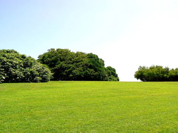 Green Field Coast Gijon Asturias Spain Europe — Stock Photo, Image