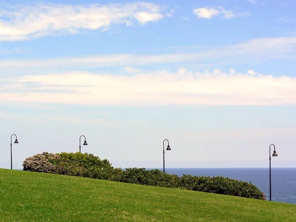 Campo Verde Costa Gijón Asturias España Europa — Foto de Stock