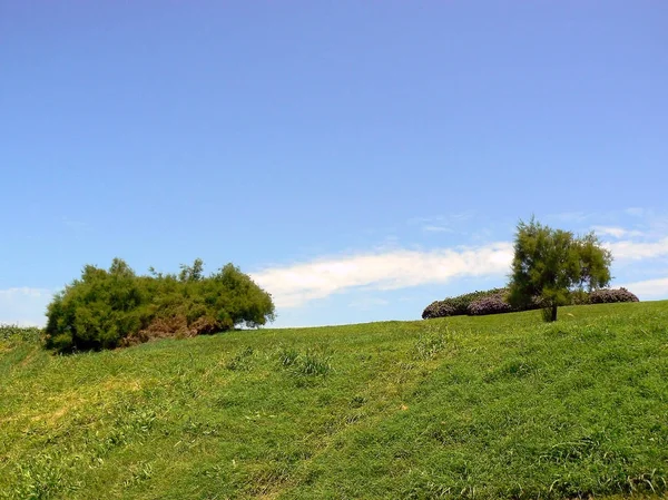 Green Field Coast Gijon Asturias Spain Europe — Stock Photo, Image