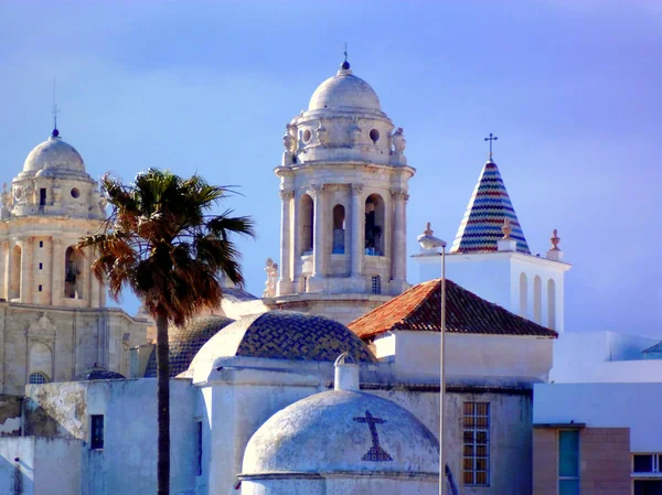 Catedral Cádiz Capital Andalucía España Europa —  Fotos de Stock