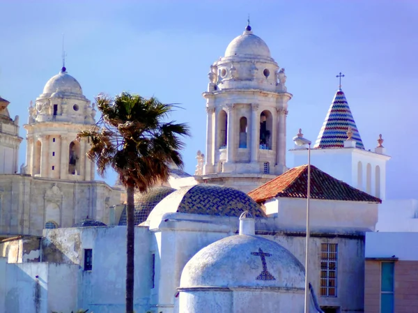 Catedral Cádiz Capital Andaluzia Espanha Europa — Fotografia de Stock