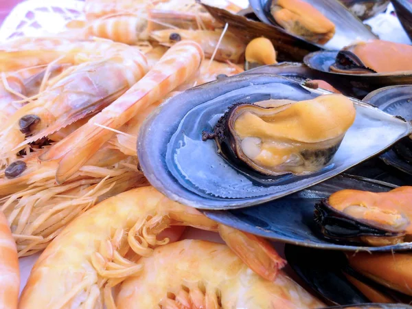 Het Stuwmeer Bornos Cadiz Andalusië Een Espaa Europa — Stockfoto