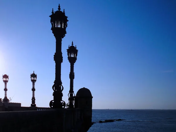 Lampy Zátoce Parku Genoves Hlavním Městě Cádizu Andalusie Španělsko Evropa — Stock fotografie
