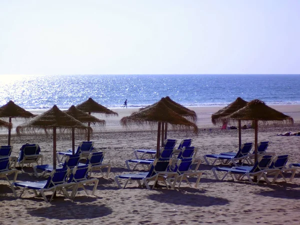 Playa Cádiz Capital Andalucía España Europa Agosto 2019 — Foto de Stock