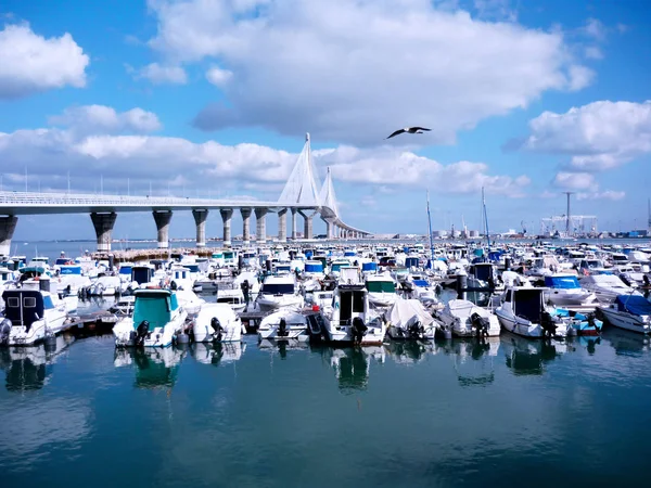 Puente Constitucion Kallas Pepa Den Bay Cádiz Andalusien Spanien Europa — Stockfoto