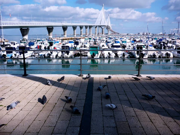 Puente Constitucion Pepa Defne Cadiz Içinde Andalusia Denir Spanya Europe — Stok fotoğraf