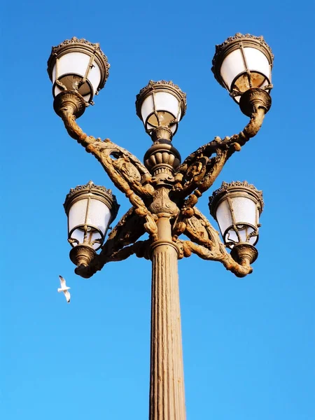Lámpaoszlopok Genoves Öböl Parkjában Cadiz Fővárosában Andalúzia Spanyolországba Európa — Stock Fotó