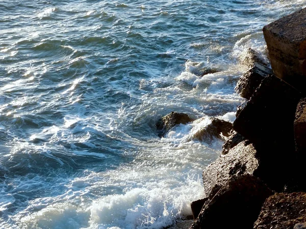 Rocas Bahía Cádiz Capital Andalucía España Europa —  Fotos de Stock