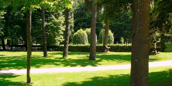 Oviedo, Asturias'taki San Francisco Parkı. İspanya. Avrupa