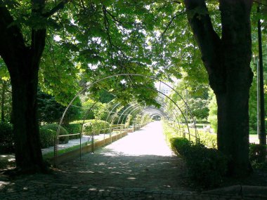 Oviedo, Asturias'taki San Francisco Parkı. İspanya. Avrupa