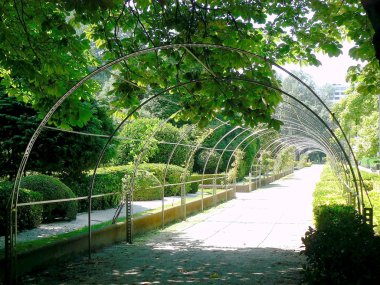 Oviedo, Asturias'taki San Francisco Parkı. İspanya. Avrupa