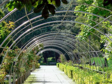 Oviedo, Asturias'taki San Francisco Parkı. İspanya. Avrupa