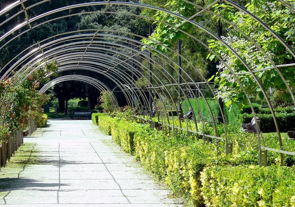 Parque San Francisco Oviedo Asturias España Europa — Foto de Stock