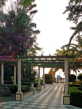 Cdiz başkenti Parque Genovs Botanik Bahçesi, Endülüs. İspanya. Avrupa.