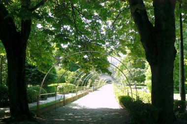 Oviedo, Asturias'taki San Francisco Parkı. İspanya. Avrupa