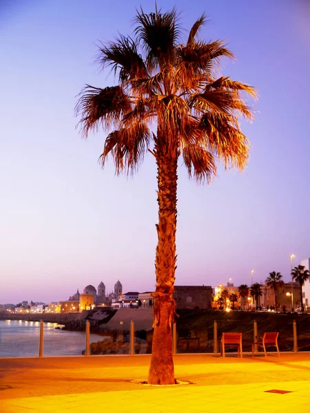 Захід Сонця Узбережжі Бухти Пляж Міста Cdiz Андалусія Іспанія Європі — стокове фото