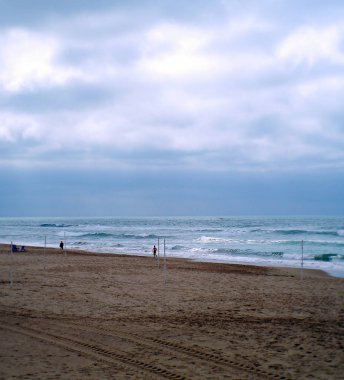 Ağaç dalları park Bahçe sonbaharda yaprakları olmadan