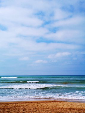 Ağaç dalları park Bahçe sonbaharda yaprakları olmadan