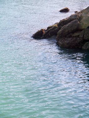 Cadiz, Endülüs kenti kıyısında kayalar. İspanya. Avrupa