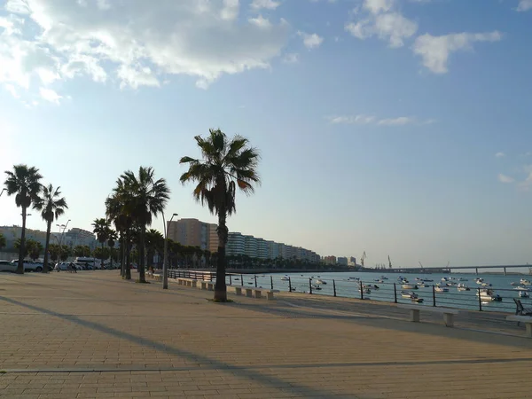 Cadiz Endülüs Şehrinin Plaj Koyun Sahil Spanya Avrupa — Stok fotoğraf