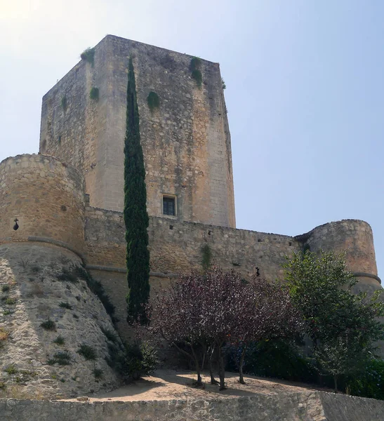 Zamek Santiago Sanlucar Barrameda Cdiz Andaluzja Hiszpania Europa Sierpnia 2019 — Zdjęcie stockowe