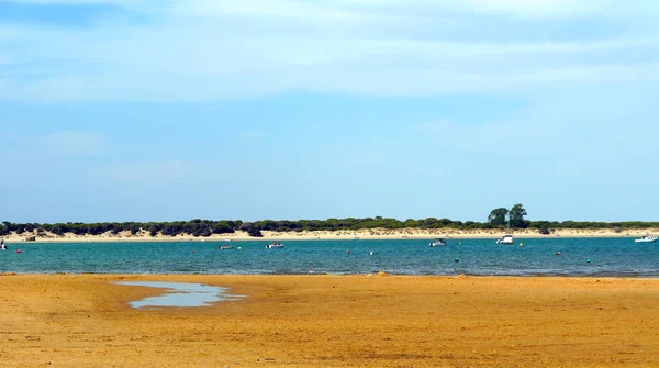 Playa Sanlúcar Barrameda Cádiz Andalucía España Europa —  Fotos de Stock