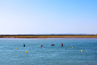 Cadiz 'de Puerto Real plajı. Endülüs İspanya. Avrupa. 14 Ağustos 2019