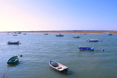 Cadiz 'deki Puerto Real Körfezi kıyısında balıkçı tekneleri. Endülüs İspanya. Avrupa. 14 Ağustos 2019