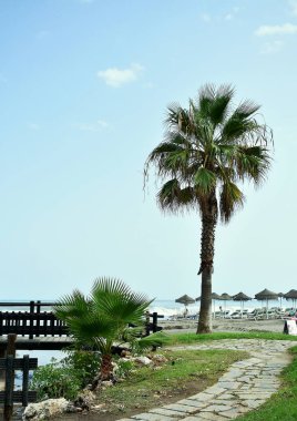 Güzel bir Torremolinos plajı, Malaga. İspanya. Avrupa. 14 Eylül 2019
