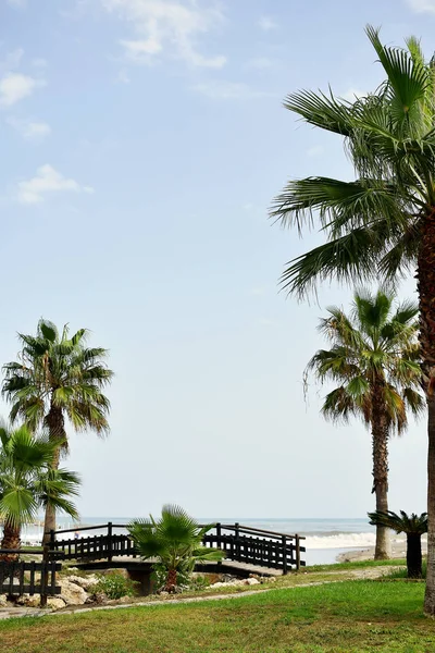 Schöner Strand Von Torremolinos Malaga Spanien Europa September 2019 — Stockfoto