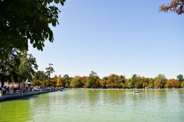 Madrid 'deki Retiro Parkı. İspanya. Avrupa. 18 Eylül 2019