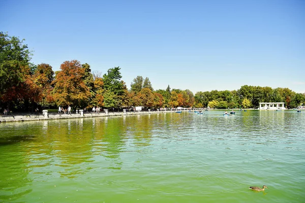 Parque Del Retiro Madrid España Europa Septiembre 2019 —  Fotos de Stock