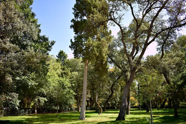 Madrid Deki Retiro Park Bahçesi Spanya Avrupa Eylül 2019 — Stok fotoğraf