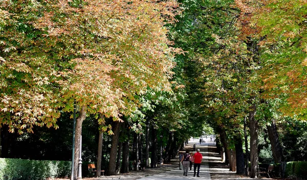 Garden Retiro Park Madrid Spain Europe September 2019 — 스톡 사진