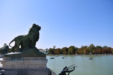 Madrid 'deki Retiro Park' ın bahçesinde aslan var. İspanya. Avrupa. 18 Eylül 2019