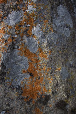 taşlar yakın çekim fotoğraflandı, bahar güzel gri doku