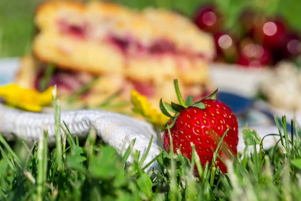 Horizontal photo with detail of ripe red strawberry. Fruit is placed on white towel in a garden with two portions of cherry cake. Next cherries are placed in background in bowl.