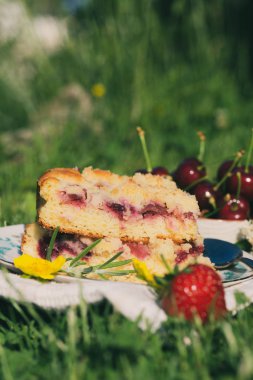 Kiraz kek kaç bölümleri ile dikey fotoğraf. Beyaz plaka ve havlu pastadır. Çeşitli meyve ve renk kütükler çevresinde yerleştirilir. Yeşil çim Bahçe çim üzerinde besindir.