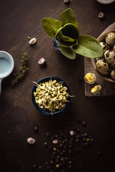 Mung taugé in een kom op donker houten bord met spinazie en eieren — Stockfoto
