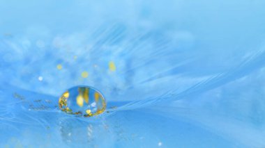 Mavi kuş tüyü üzerinde su damlası kapandı