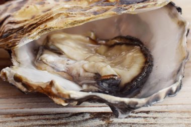 Çiğ taze açık istiridye kapalı