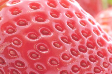 çilek olgun kırmızı meyve aşırı gıda arka plan kapalı