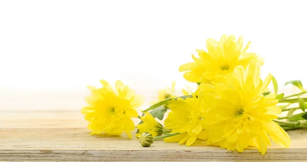 Chrysanthème jaune sur table en bois — Photo
