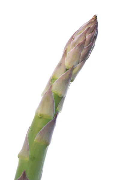 녹색 아스파라거스는 흰색에 고립 폐쇄 — 스톡 사진