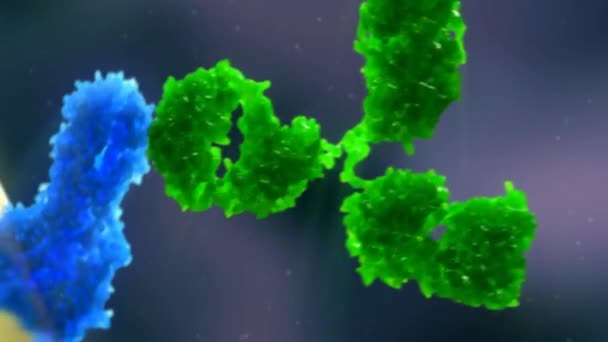 Neutralizzazione del virus da parte degli anticorpi — Video Stock