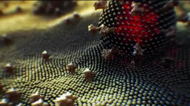 3d анимация светящихся вирусных клеток, вирусов, вирусов под микроскопом — стоковое видео