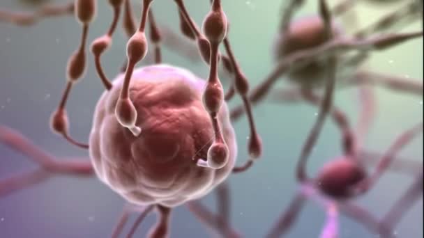 Ganglions lymphatiques dans le corps. Animation médicale 3D — Video