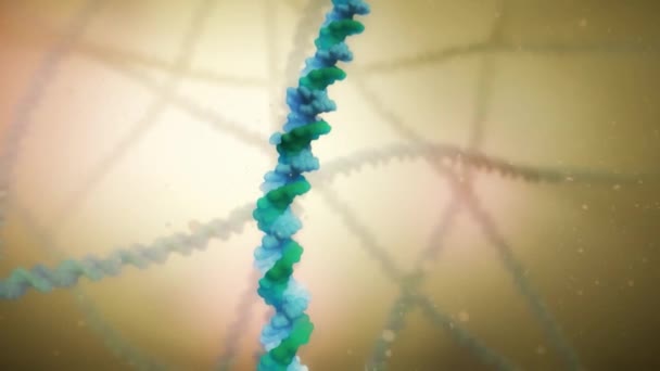 DNA polymeráza je enzym, který syntezuje molekuly DNA z deoxyribonucleotu. — Stock video