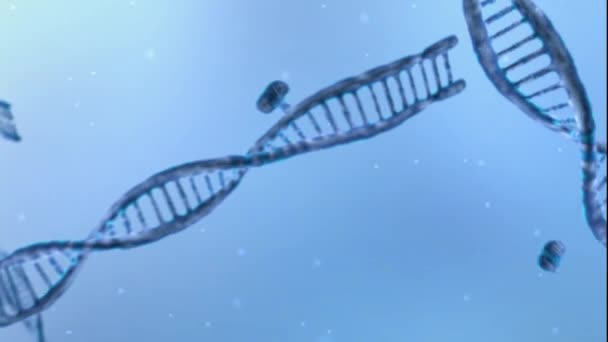 Deoksiribo nukleinsyra, 3D-animering av DNA — Stockvideo